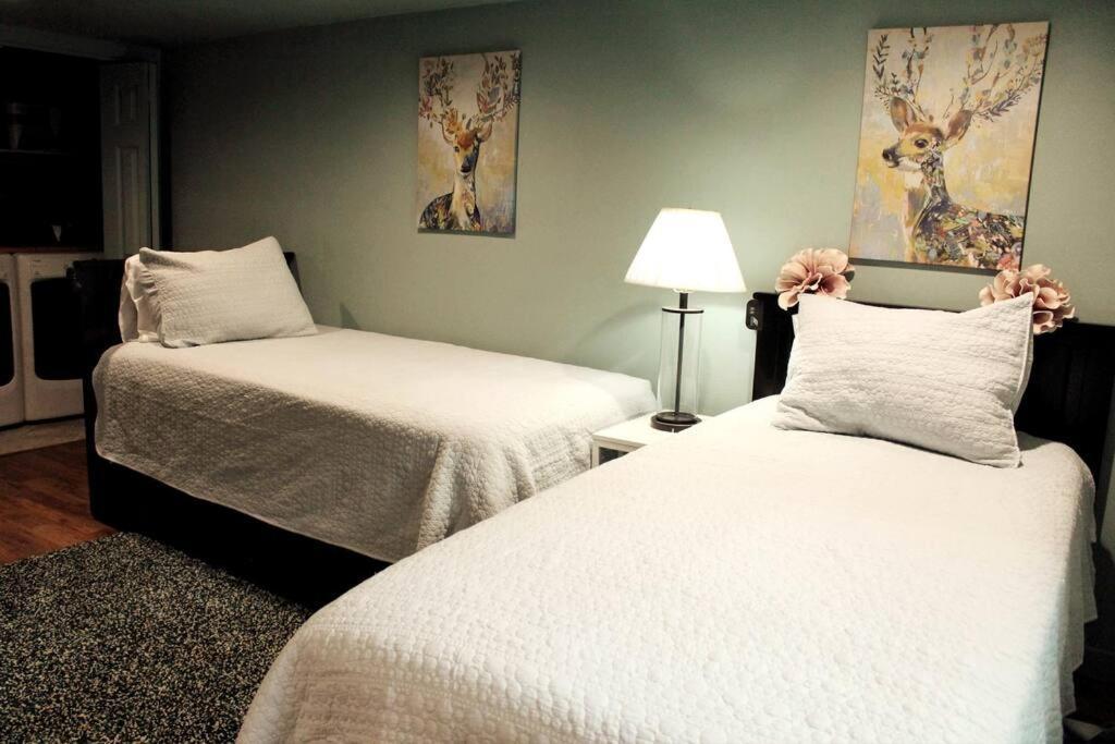 شقة بورتلاند  في Heart Of Woodstock, 10 Min Walk To Reed, With Private Garage! المظهر الخارجي الصورة